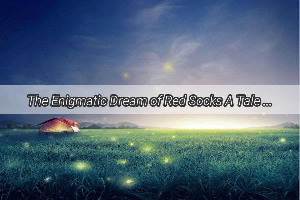 The Enigmatic Dream of Red Socks A Tale of Friendship Mystery and the Subtle Power of Symbols